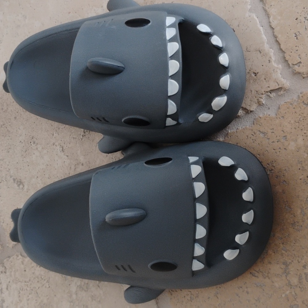 Shark Slides - Picture 4 of 5